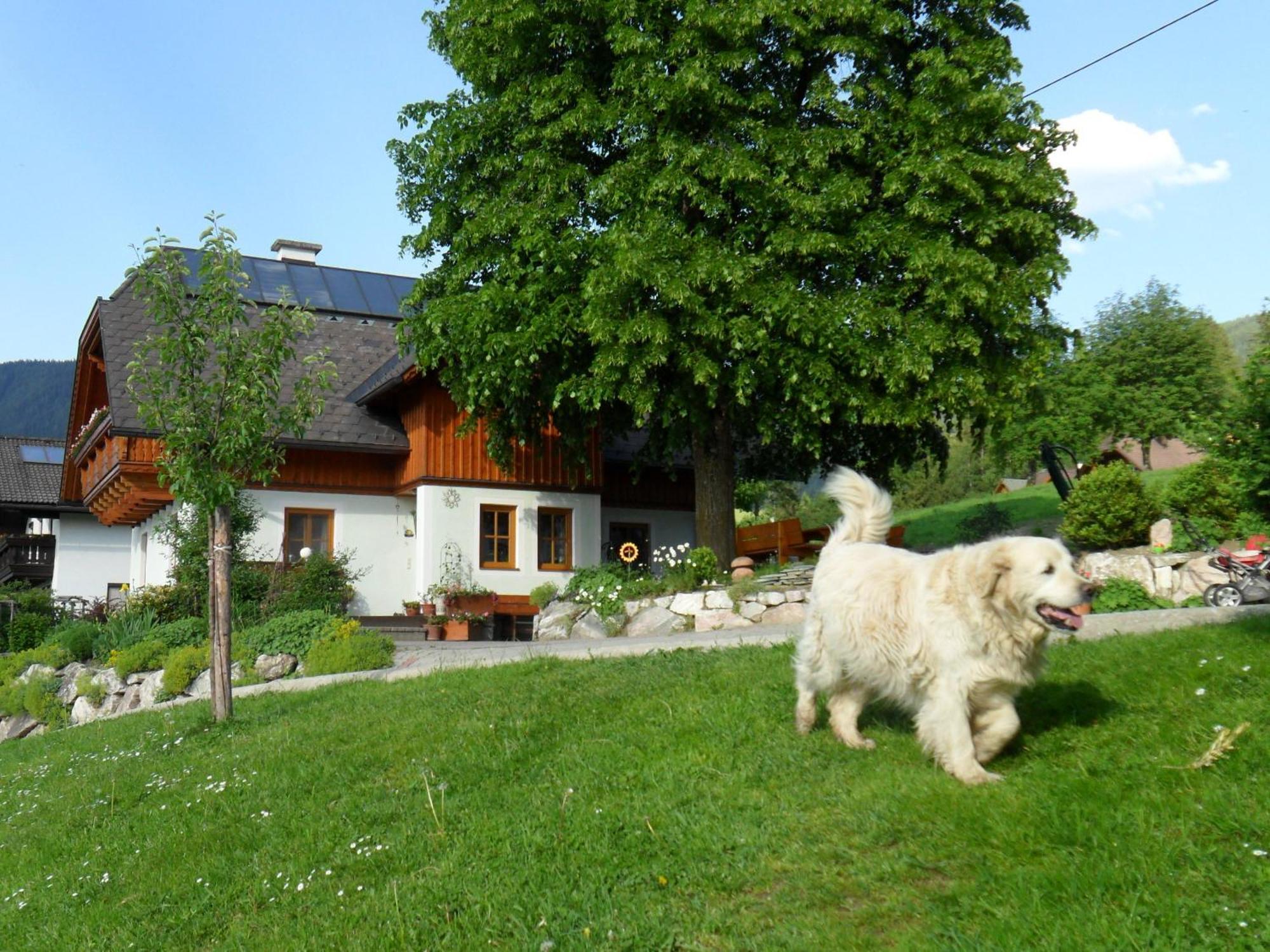 Huettstaedterhof Familie Poetsch Villa Aigen im Ennstal Buitenkant foto