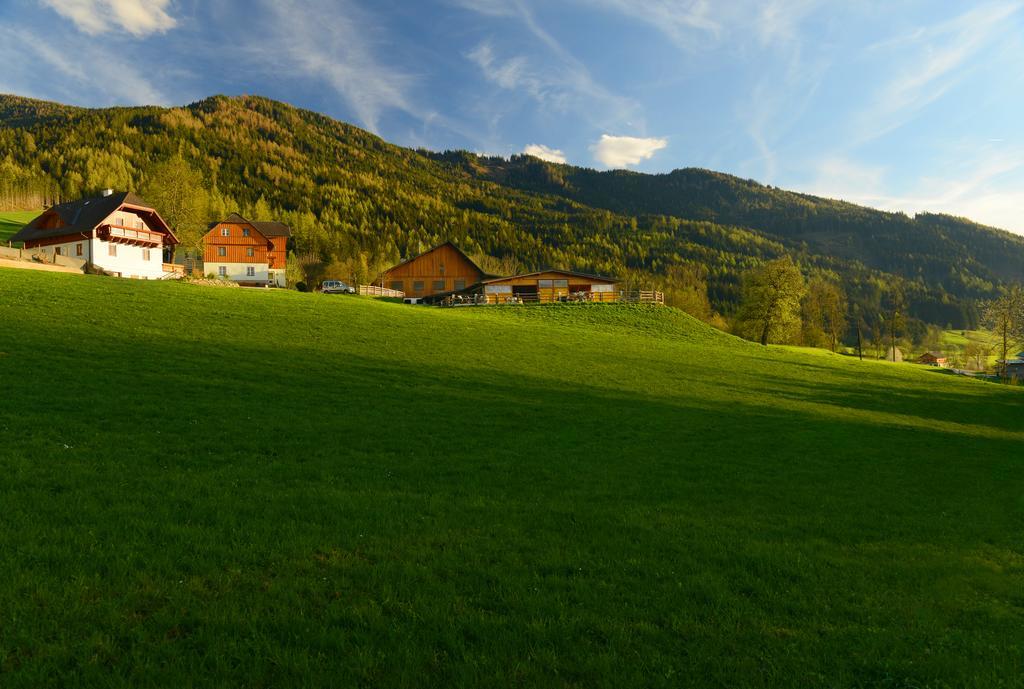 Huettstaedterhof Familie Poetsch Villa Aigen im Ennstal Buitenkant foto