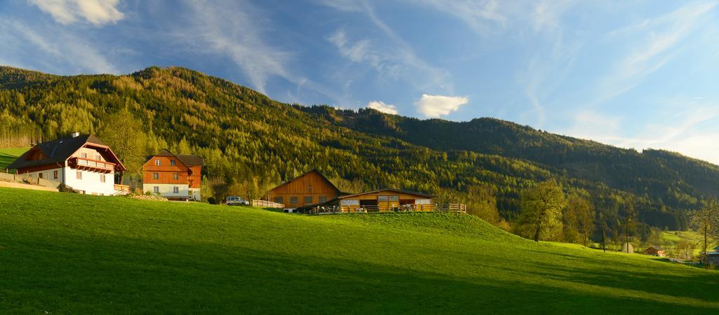 Huettstaedterhof Familie Poetsch Villa Aigen im Ennstal Buitenkant foto